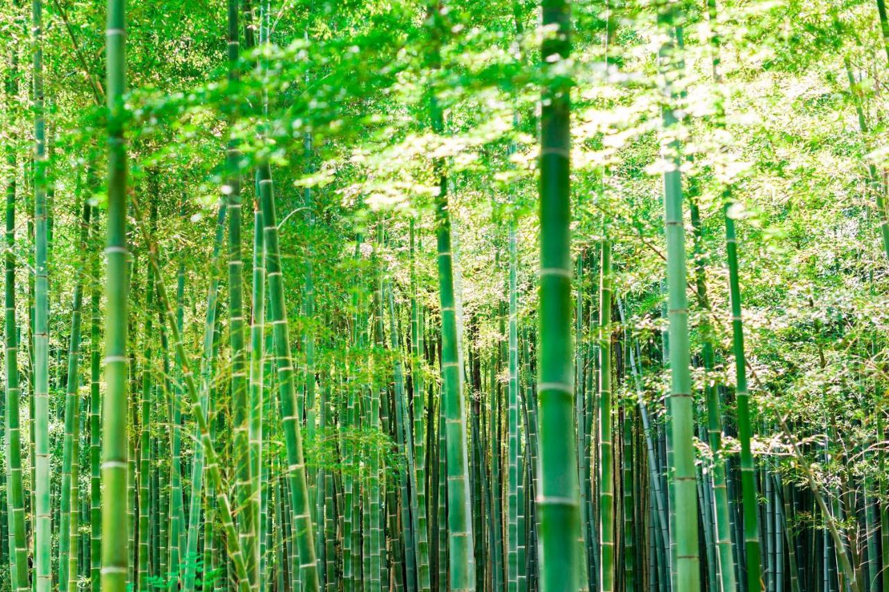 Suiran, A Luxury Collection Hotel, Kyoto Ngoại thất bức ảnh